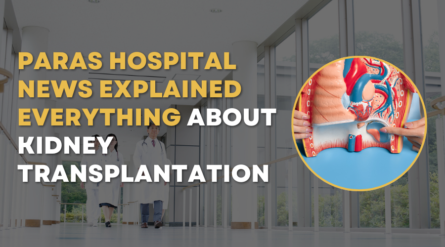 kidney transplantation